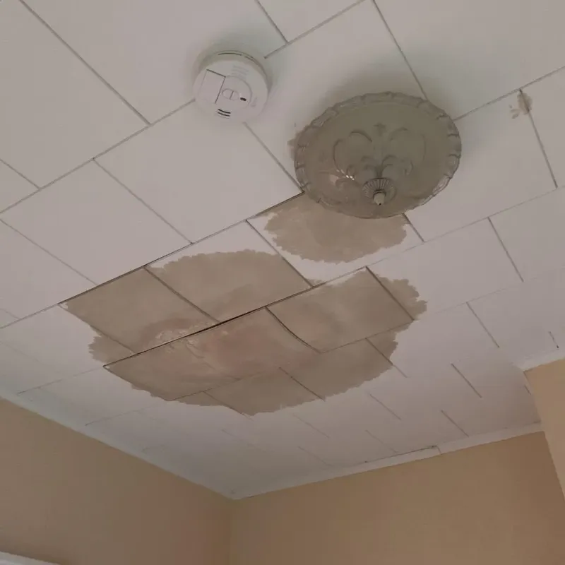Ceiling Water Damage Repair in Somerset County, PA