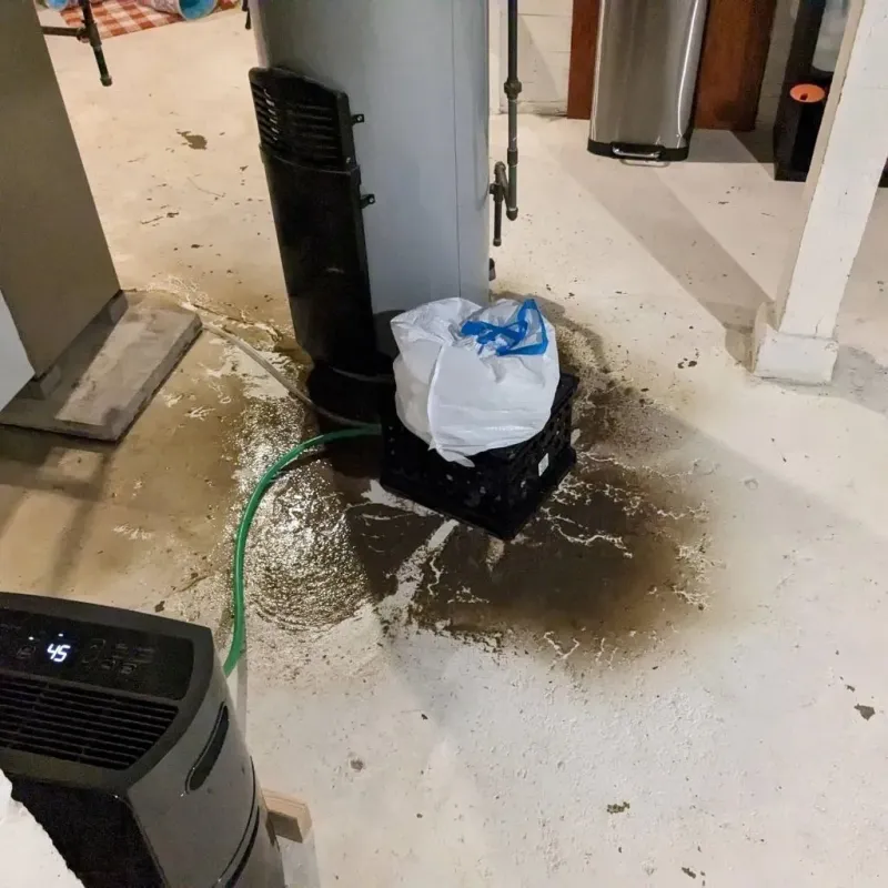 Sewage Backup Cleanup Service in Somerset County, PA